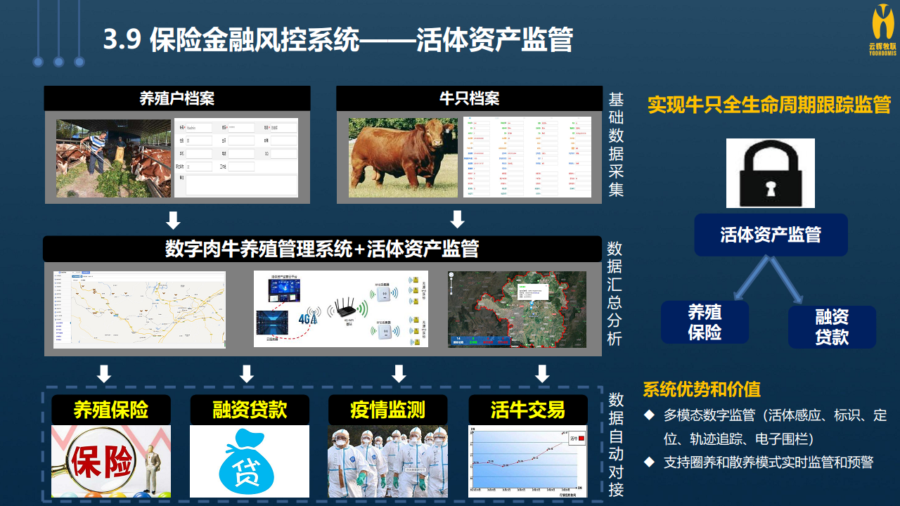 数字牛业产业物联网应用图片