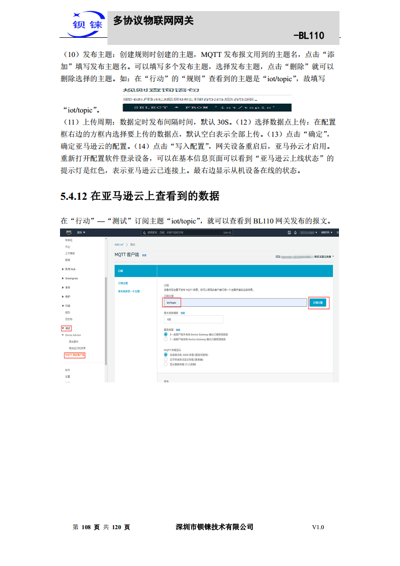 多协议物联网网关 BL110图片
