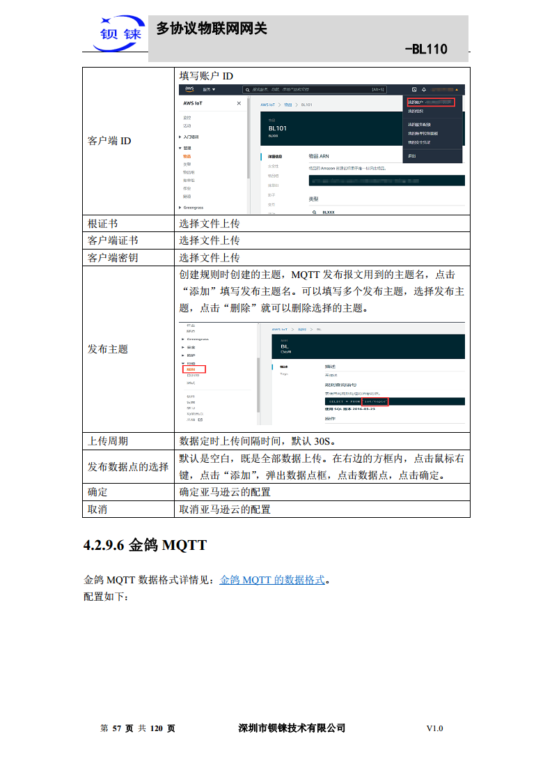 多协议物联网网关 BL110图片