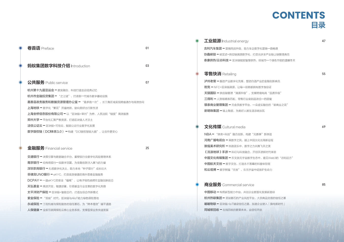 2024蚂蚁集团数字科技案例集图片