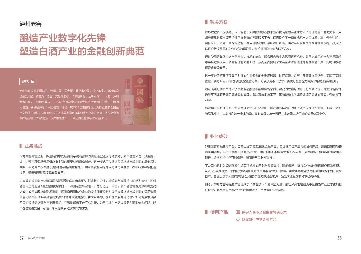 2024蚂蚁集团数字科技案例集图片